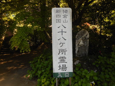 DSCN2893[2].JPG